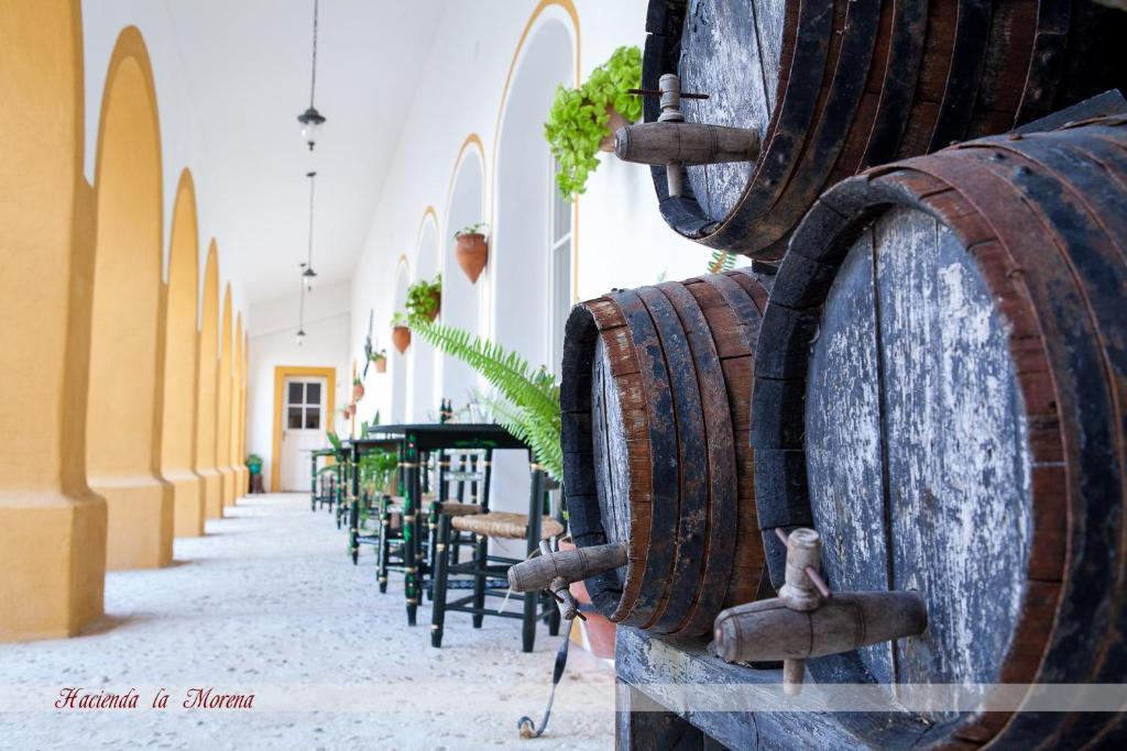 Penzion Hacienda La Morena Montellano Exteriér fotografie