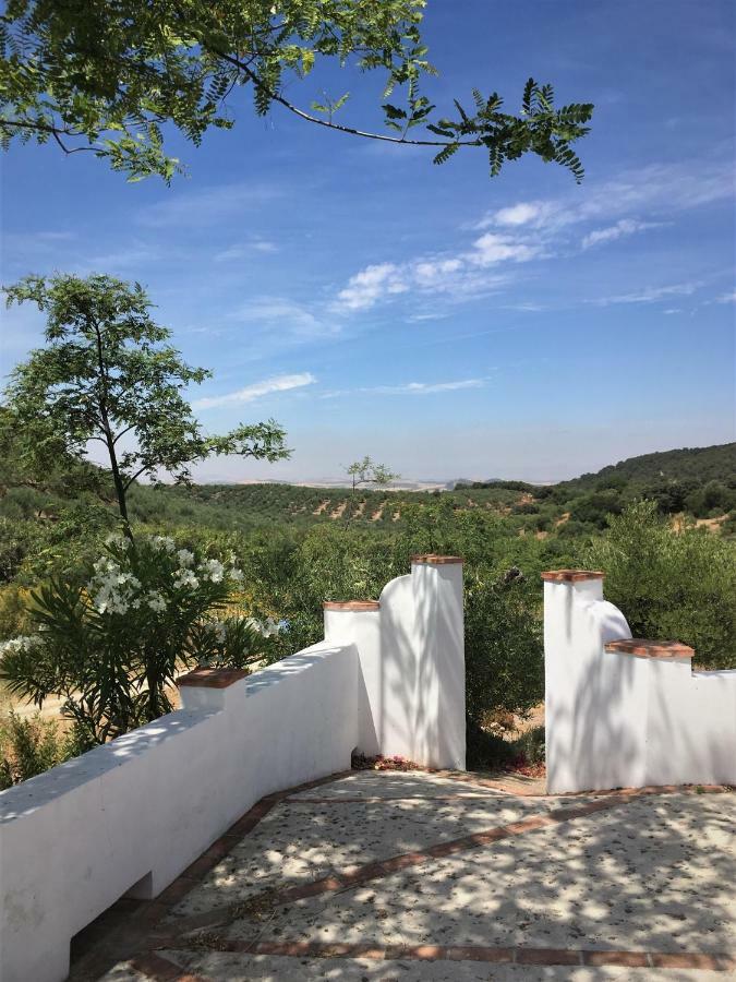 Penzion Hacienda La Morena Montellano Exteriér fotografie