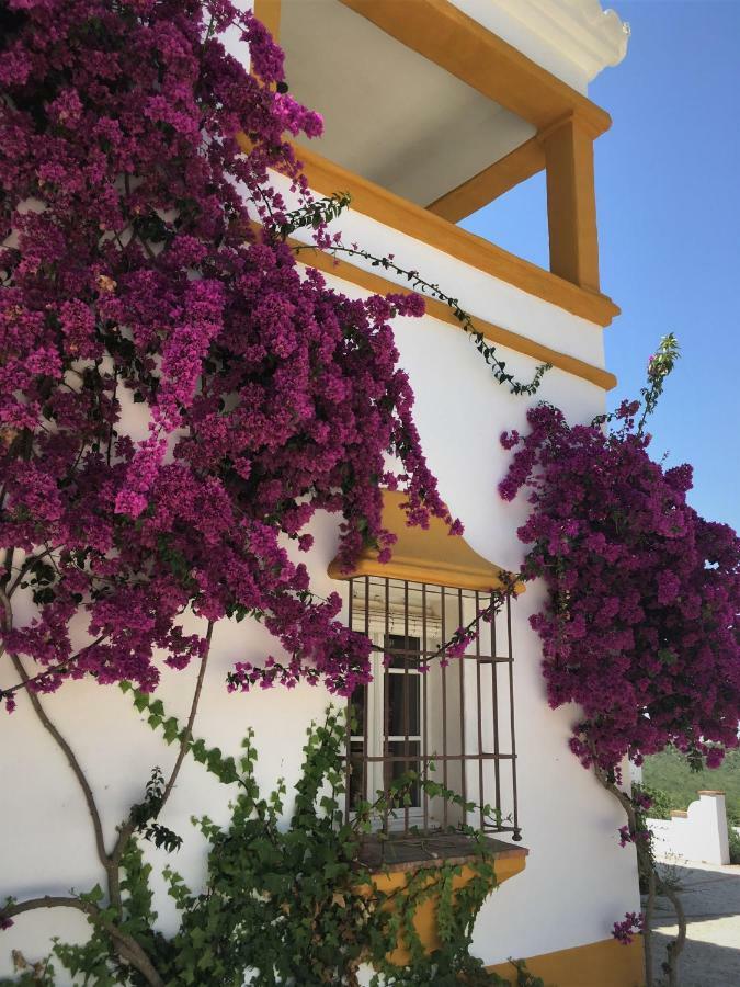 Penzion Hacienda La Morena Montellano Exteriér fotografie