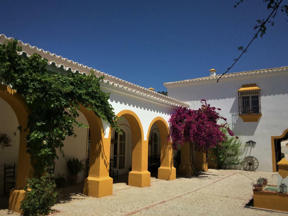 Hacienda La Morena Montellano Exteriér fotografie