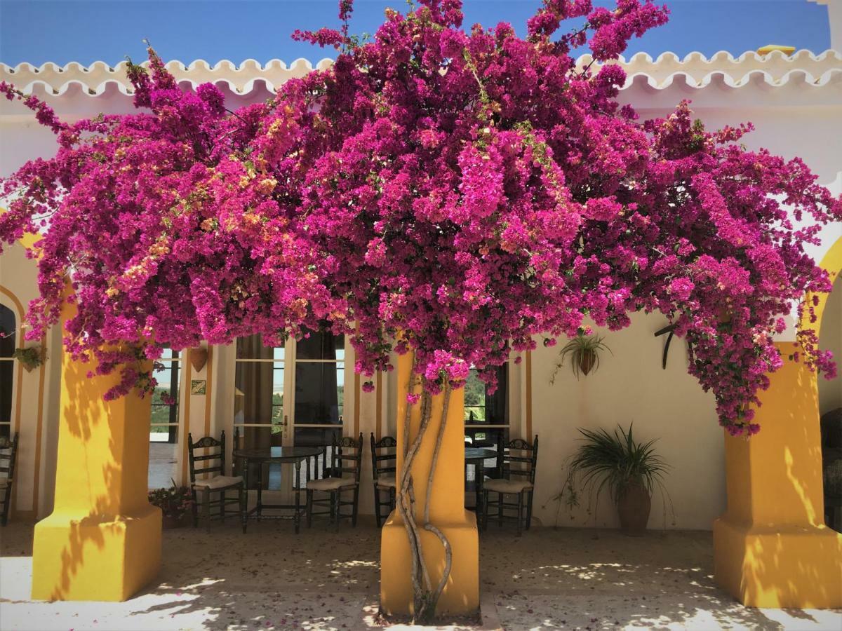 Penzion Hacienda La Morena Montellano Exteriér fotografie