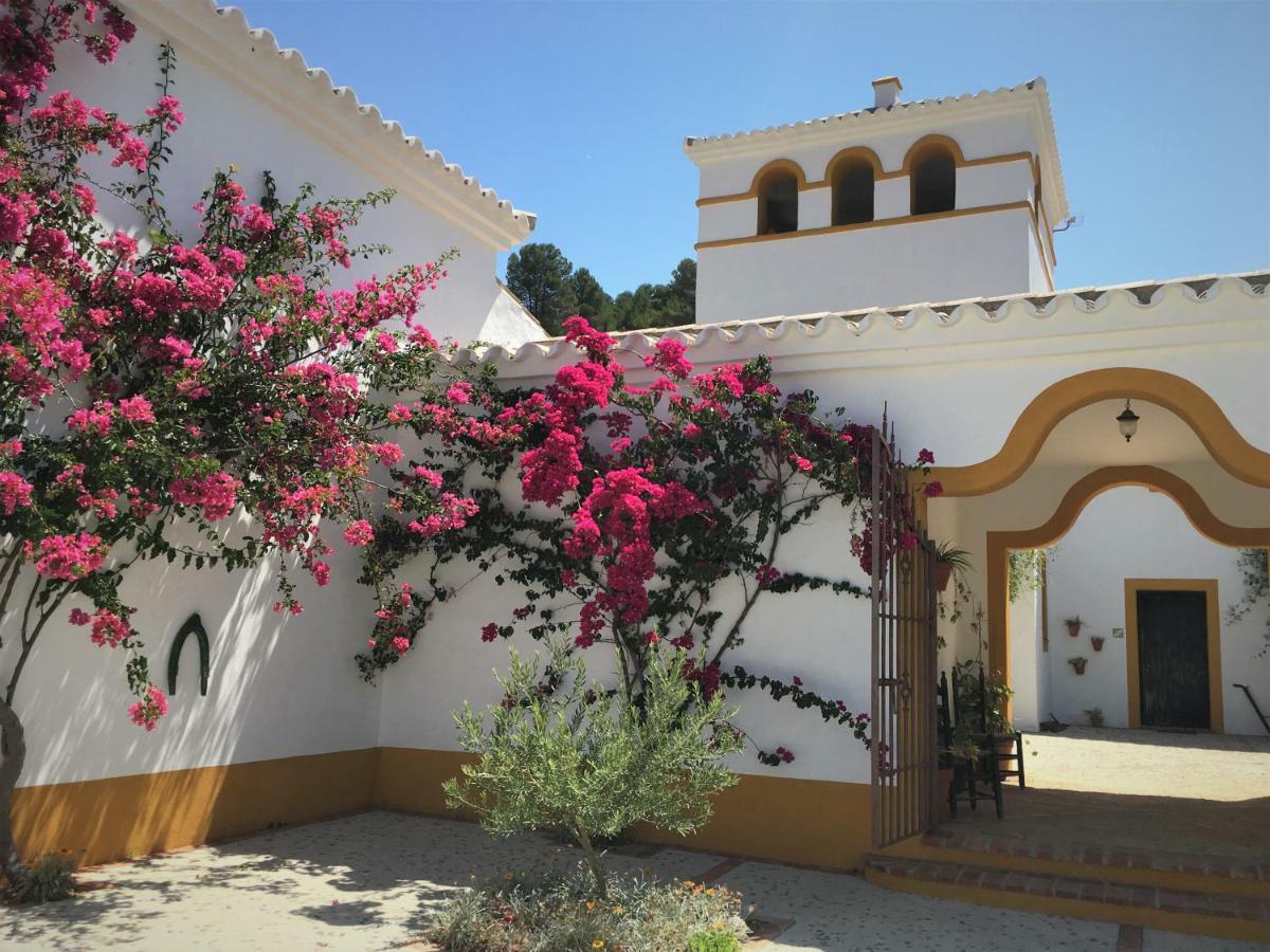 Penzion Hacienda La Morena Montellano Exteriér fotografie