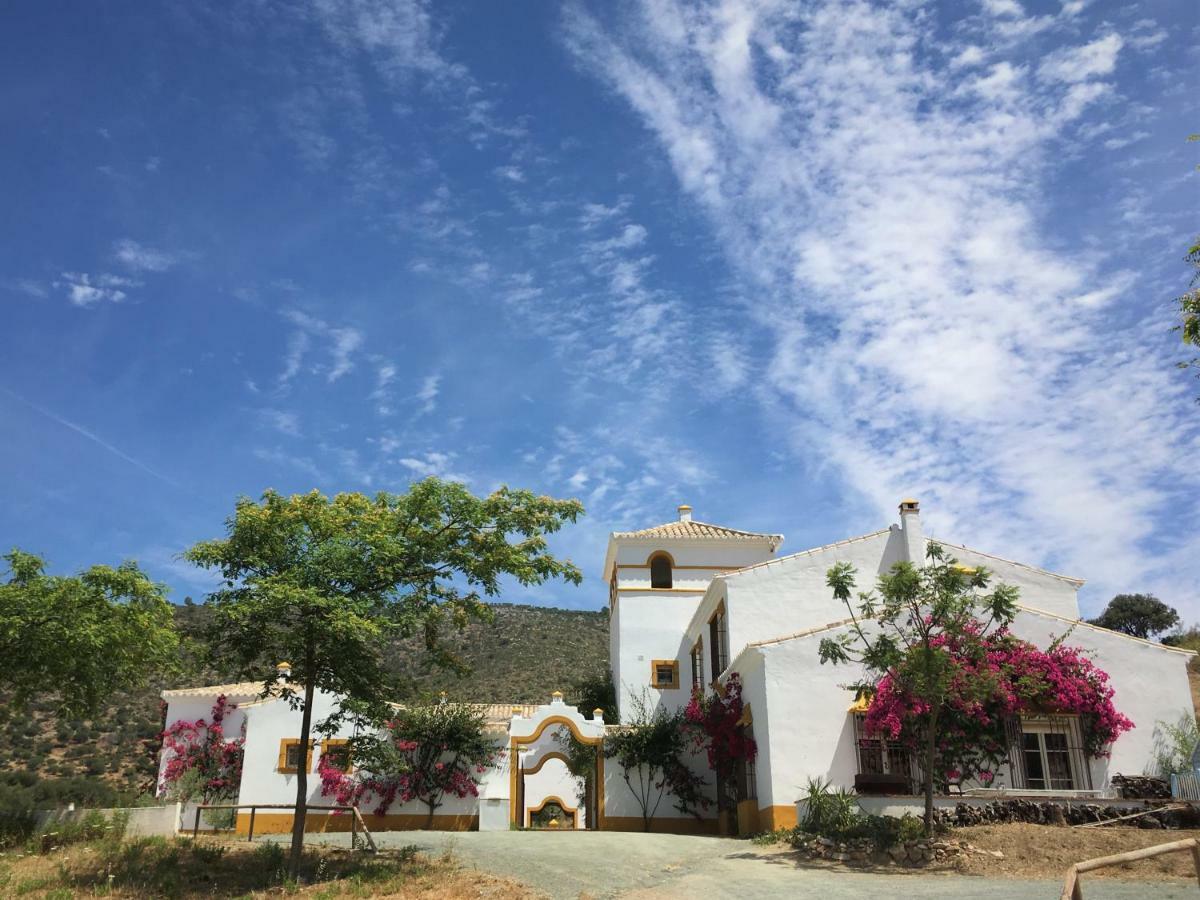 Hacienda La Morena Montellano Exteriér fotografie