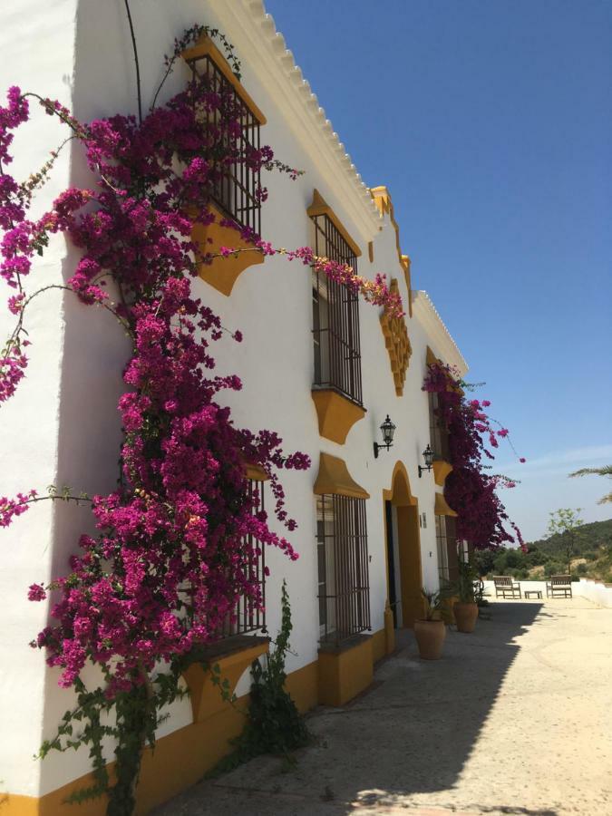 Penzion Hacienda La Morena Montellano Exteriér fotografie