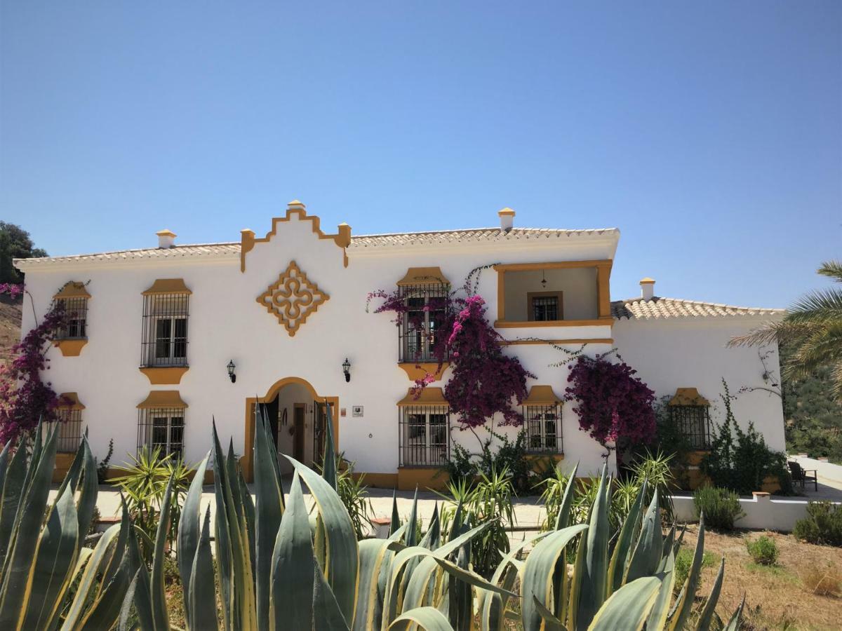 Hacienda La Morena Montellano Exteriér fotografie